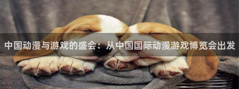 动漫之家怎么下载