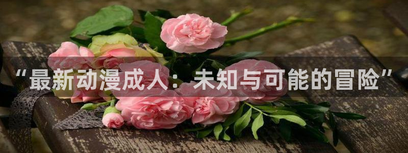 虎哥动漫之家在线观看