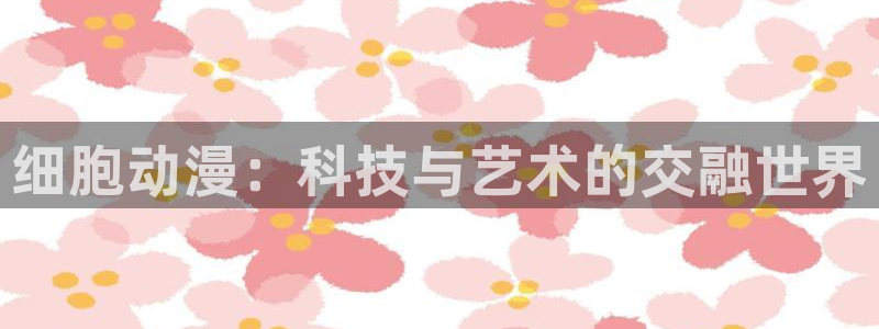 010动漫之家