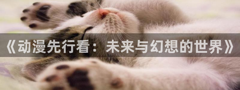 动漫之家x