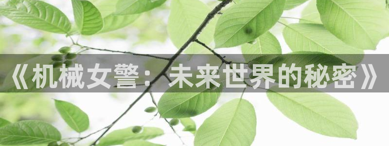 动漫之家入口