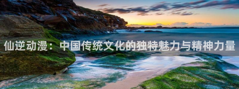 动漫之家旧