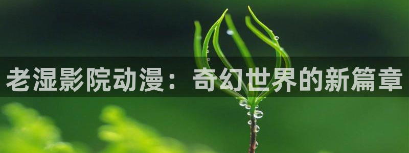 里动漫之家