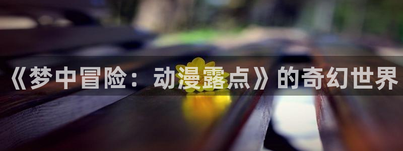 动漫之家ios版