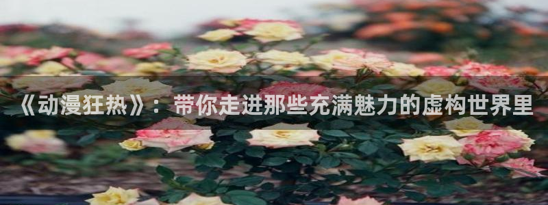 www.动漫之家.com