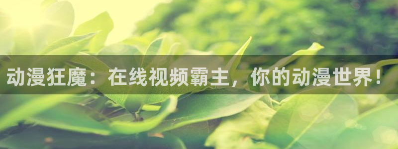 ts漫画动漫之家
