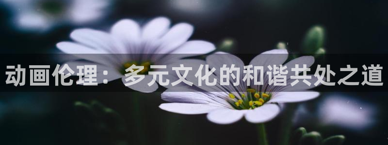 动漫之家pc