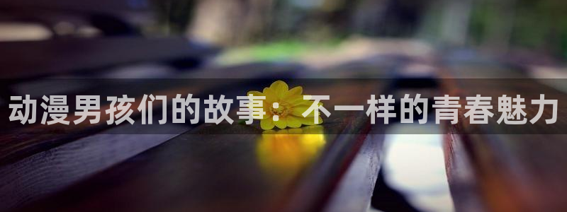动漫之家社区下载：动漫男孩们的故事：不一样的青春魅力