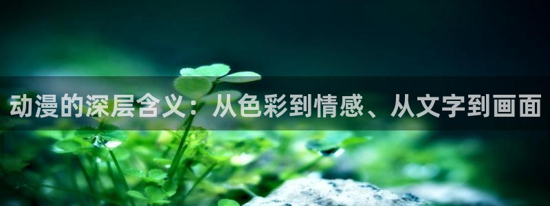 漫画 动漫之家：动漫的深层含义：从色彩到情感、从文字到画面