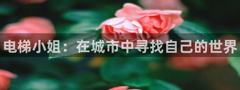 色动漫之家：电梯小姐：在城市中寻找自己的世界