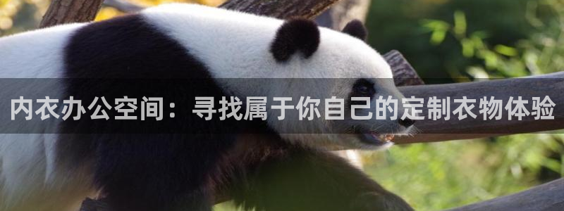 动漫之家主页