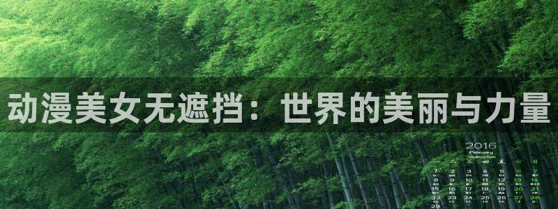 动漫之家动漫下载