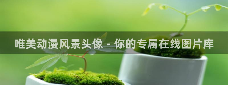 动漫之家卡：唯美动漫风景头像 - 你的专属在线图片库