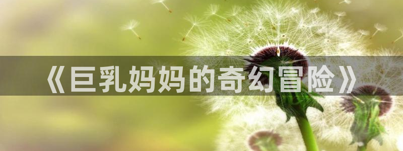 耽漫网之家动漫之家