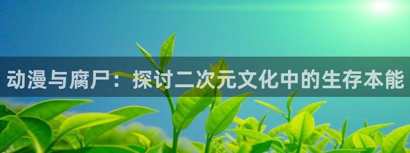 动漫之家老版本