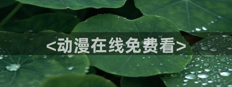 动漫之家里世界