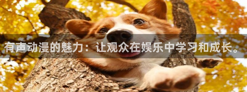 动漫之家3.8.2