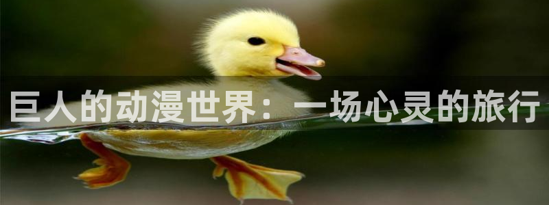 动漫之家网