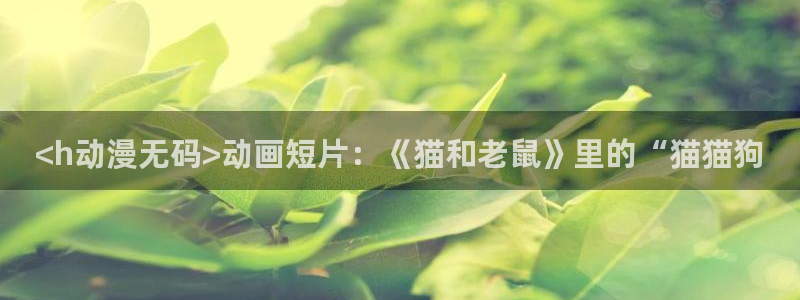动漫之家有