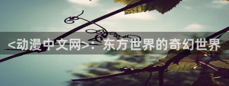 动漫之家下载路径
