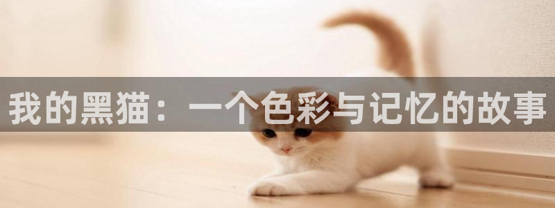 动漫之家我推的孩子