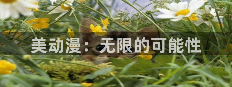 剑风传奇漫画 动漫之家