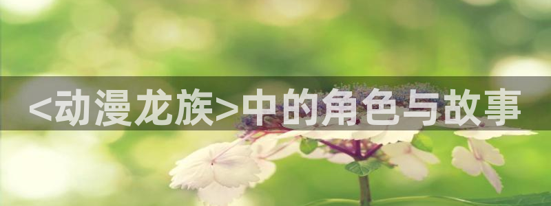 风车动漫之家