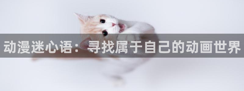 动漫之家小说