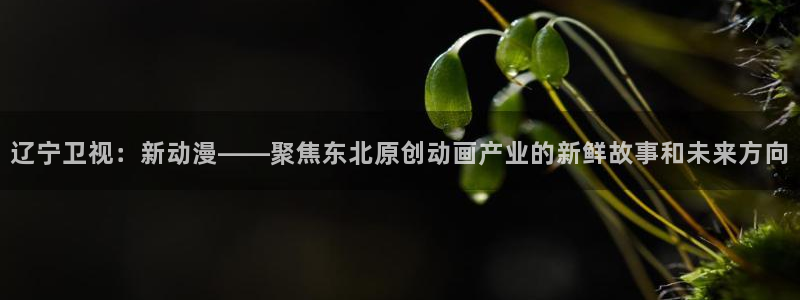 樱花动漫之家官网