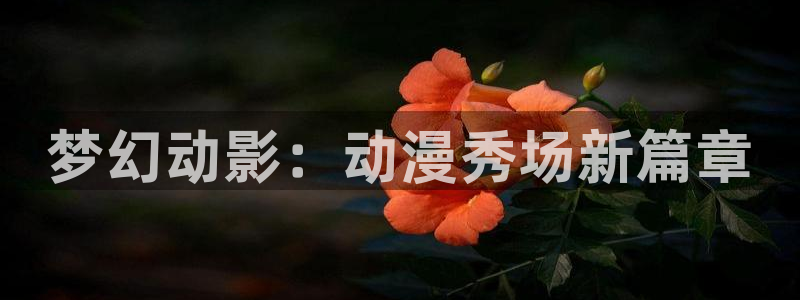 动漫之家社区版下载