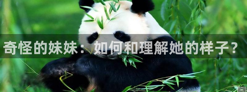 动漫之家啊